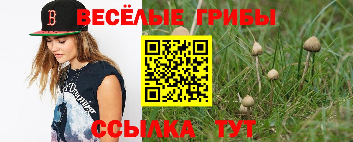 Галлюциногенные грибы ЛСД Димитровград