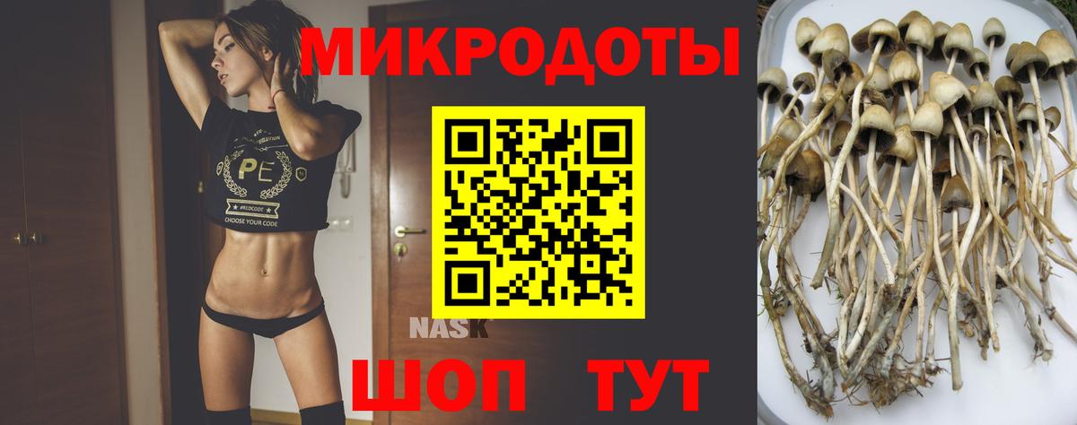 Галлюциногенные грибы Cubensis  Псилоцибиновые грибы мухоморы  Вход с VPN  Димитровград 
